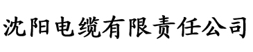 琪琪免费电视剧电影电缆厂logo